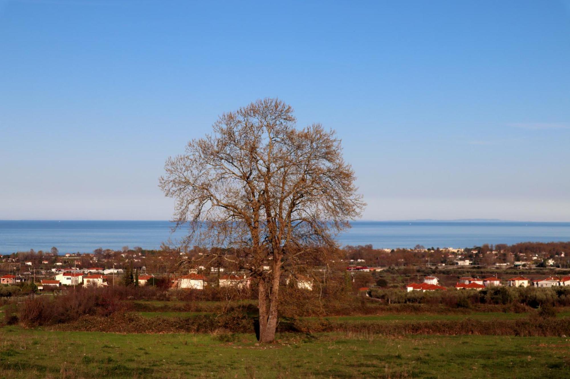 Elioj House Villa Leptokarya  Cameră foto
